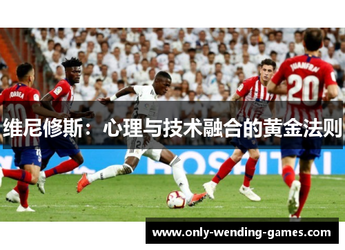 维尼修斯：心理与技术融合的黄金法则