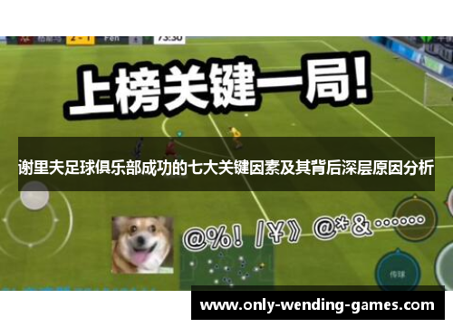 谢里夫足球俱乐部成功的七大关键因素及其背后深层原因分析 谢里夫足球俱乐部成功的七大关键因素及其背后深层原因分析