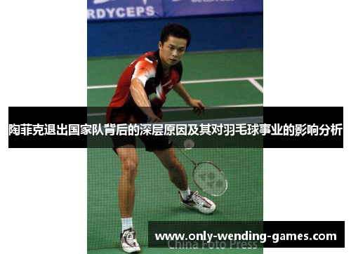 陶菲克退出国家队背后的深层原因及其对羽毛球事业的影响分析