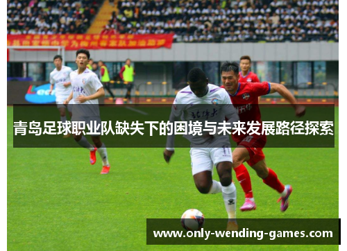 青岛足球职业队缺失下的困境与未来发展路径探索 青岛足球职业队缺失下的困境与未来发展路径探索